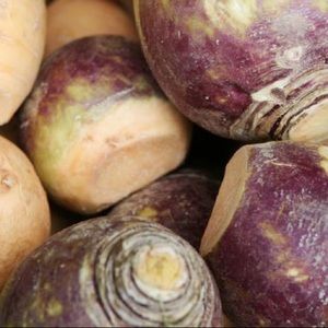 Meet your Posher, Barbara